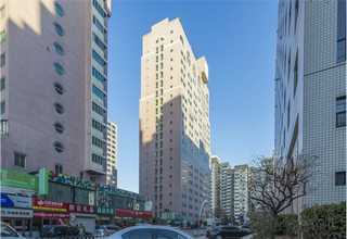 上海常规藻酸盐敷料市价